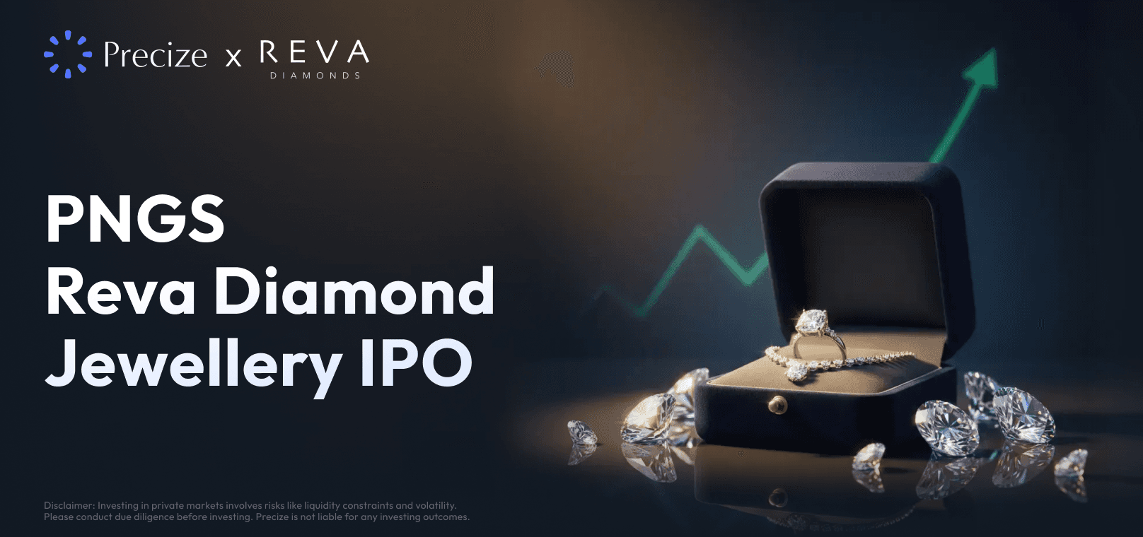 PNGS Reva Diamond Jewellery IPO: Price, Details