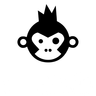 BIRA 91 Unlisted Shares
