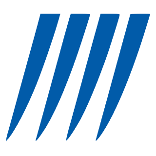 Sterlite Electric Unlisted Shares