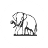 Ramaraju Surgical Cotton Mills Unlisted Shares