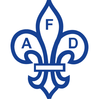 Anglo French Drugs and Industries Unlisted Shares