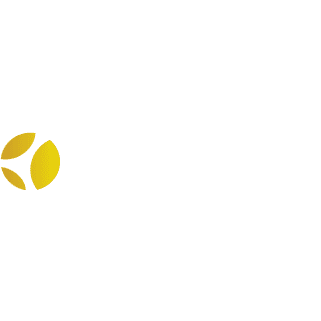 Anheuser Busch Inbev India (AB InBev) Unlisted Shares