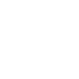 Goa Shipyard Unlisted Shares