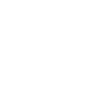Auckland International Unlisted Shares