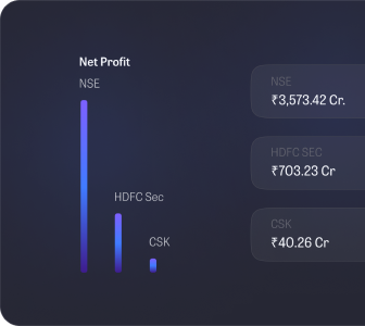 Net profit company screener